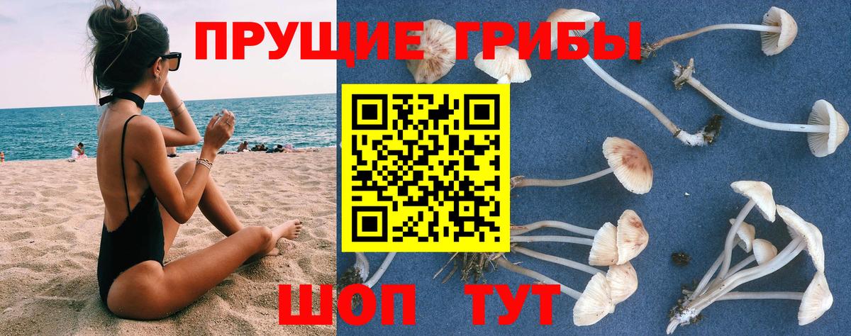 Псилоцибиновые грибы Magic Shrooms Омск