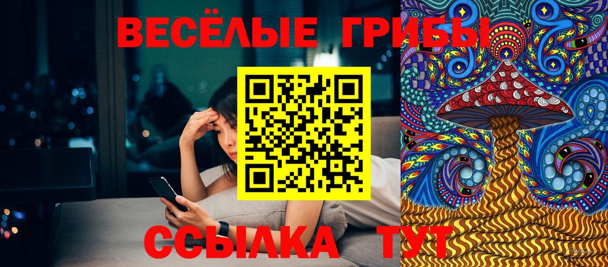 Галлюциногенные грибы MAGIC MUSHROOMS  Галлюциногенные грибы мухоморы  Омск  Вход с VPN 